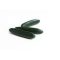 Uborka Kyogan F1 (21-SL977) RZ - 100 szem