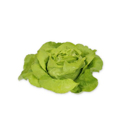 Saláta Sandeno RZ (43-BU7304) - 1000 szem