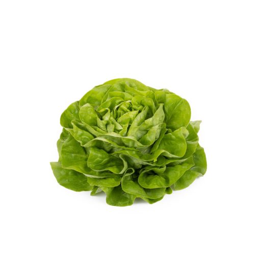 Saláta Gambetta RZ - 1000 szem