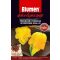 PAPRIKA Trinidad Scorpion Giallo F1 Trinidad sárga skorpió Chili BLUMEN - 0.04g