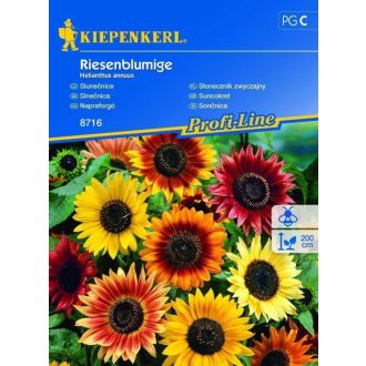 Napraforgó Riesenbluminge Kiepenkerl 8716 - 30 szem
