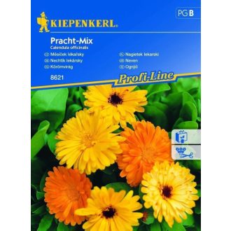 Körömvirág Pracht-Mix Kiepenkerl 8622 - 50 szem