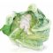Karfiol Marmorex F1 Seminis - 2500 szem