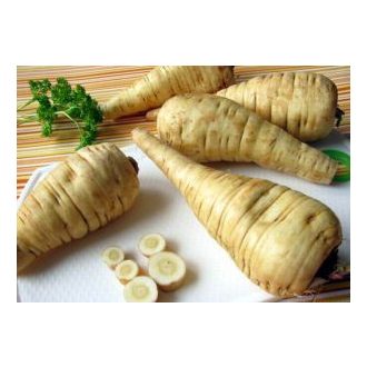 Pasztinák Félhosszú Bejo - 1 kg