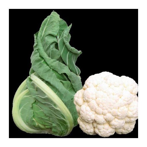 Karfiol Whiton F1 Esasem - 2500 szem