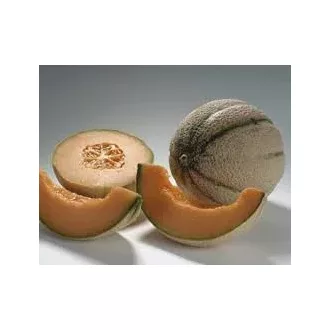 Sárgadinnye Celestial F1 Precíziós Nunhems - 500 szem