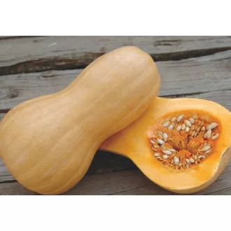 Sütőtök Matilda F1 Enza - 500 szem