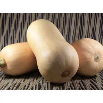 Sütőtök Tiana F1 Enza - 250 szem