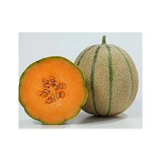 Sárgadinnye Tirreno F1 Enza - 100 szem