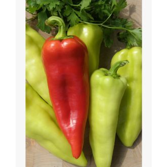 Paprika Szentesi Piacos SzentesiMag - 0.5g