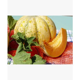 Sárgadinnye Ezüstananász SzentesiMag - 2g