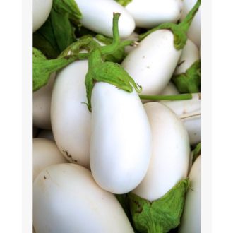 Tojásgyümölcs fehér White Egg Agrosem - 0.3g