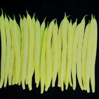 BAB GOLDMINE Seminis - 2kg