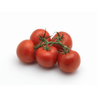 Paradicsom Climundo F1 Syngenta - 500 szem