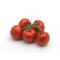 Paradicsom Climundo F1 Syngenta - 500 szem