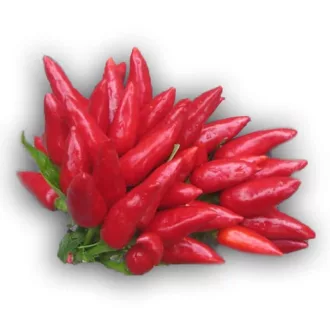 Paprika Goria F1 Esasem - 1000 szem