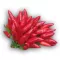 Paprika Goria F1 Esasem - 1000 szem