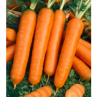 Sárgarépa Anina Semo - 50g