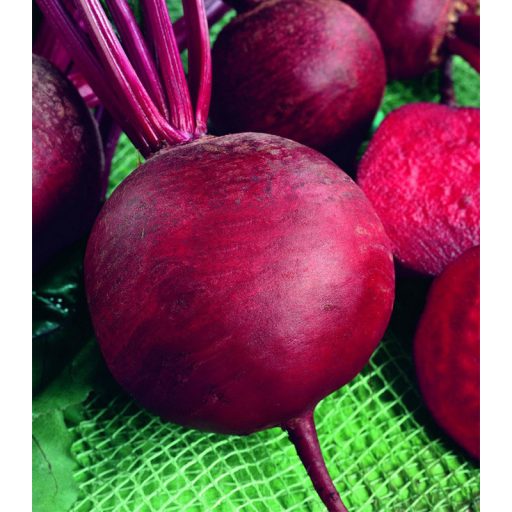 Cékla Betina Semo - 50g