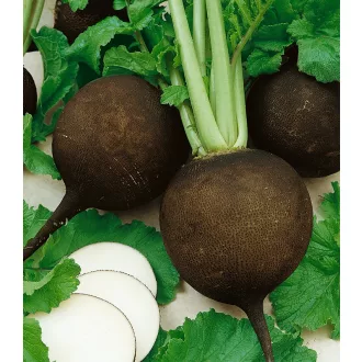 Retek Fekete Panter Semo - 50g