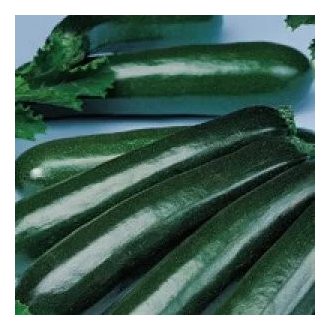 Cukkini Mantra F1 Enza - 100g