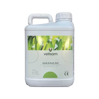 Maximum - 5 lit
