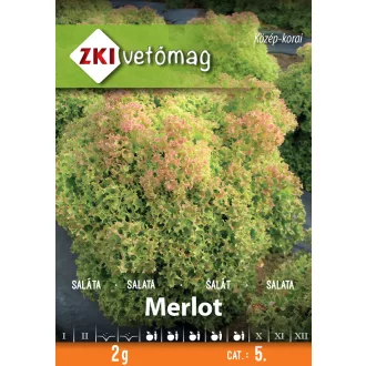 Saláta Tépő Merlot ZKI - 2g