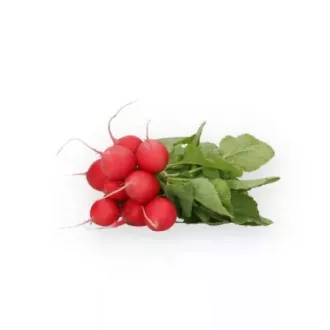 Retek Millom F1 (39-RE107) (2,25-2,5mm) RZ - 25.000 szem