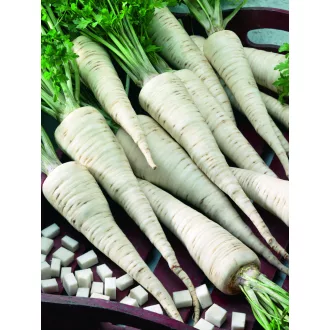 Petrezselyem Troja Semo - 10g