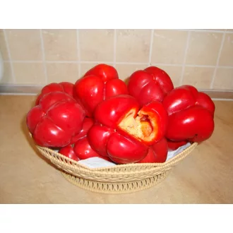 Paprika Tamina F1 Semo - 100 szem
