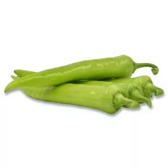 Paprika Sahara F1 (ZKI 09135-334 F1) ZKI - 100 szem