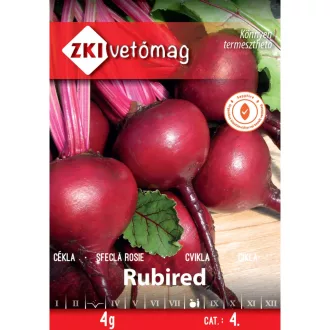 Cékla Rubired ZKI - 4GR