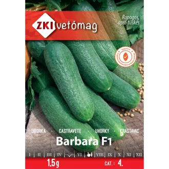 Uborka BARBARA F1 ZKI - 1,5g