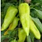 Paprika Zeline F1 Orosco - 500 szem