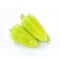 Paprika Topgear F1 (35-HG1424) RZ - 100 szem