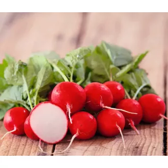 Retek Melito F1 Orosco - 10.000 szem