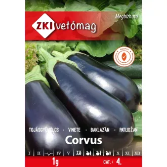 Tojásgyümölcs Corvus ZKI - 1g
