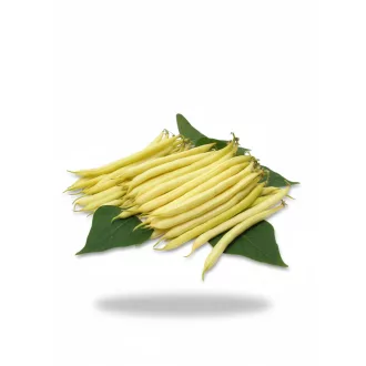 Bab Bodor Royal - 1 kg