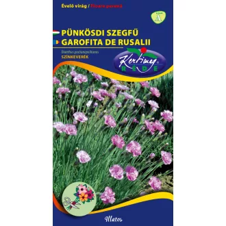 Pünközsdi Szegfű Színkeverék Régei - 0.25g