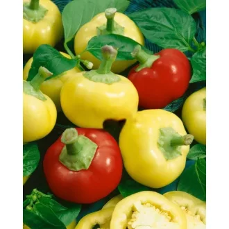 Paprika Ilika Semo - 500 szem