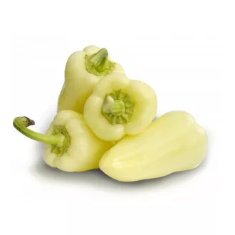 Paprika Century F1 Fehér T.V. ZKI - 1000 szem