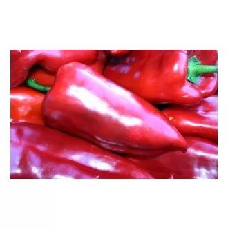 Paprika T-112 F1 Seminis - 1000 szem
