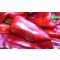Paprika T-112 F1 Seminis - 1000 szem