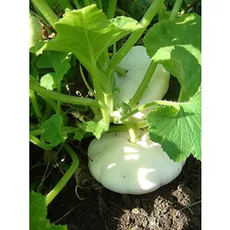 Patisszon Croblan ZFW - 100 g