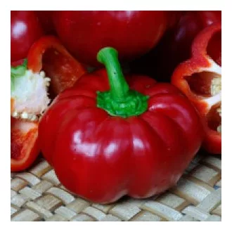 Paprika Pritavit F1 Pritamin Seminis - 1000 szem