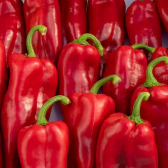 Paprika Priorica F1 (35-KR1266) RZ - 1000 szem