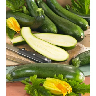 Cukkini Poseidon F1 Semo - 50g