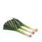 Póréhagyma Matisse F1 (38-301) RZ - 10.000 szem