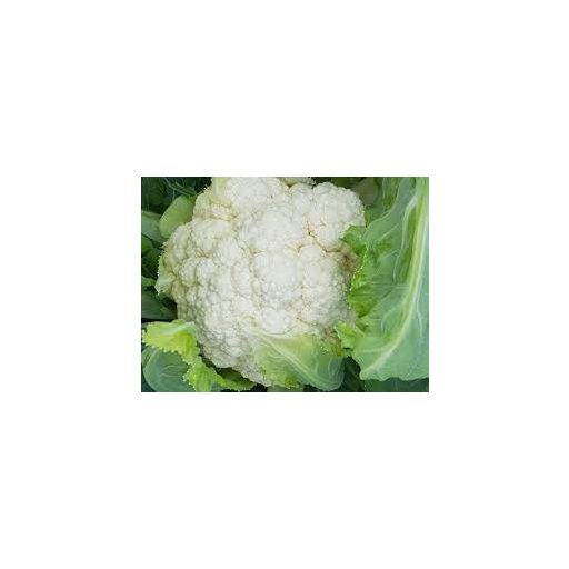 Karfiol Alston F1 Sakata - 2500 szem