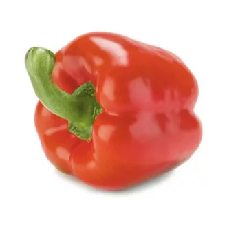 Paprika Redwing F1 (35-154) RZ - 1000 szem